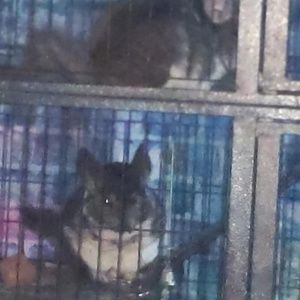 Meet your Posher, Joseph